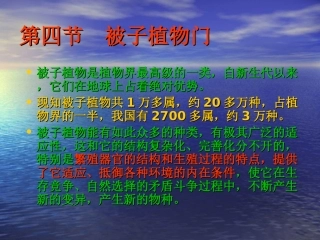 第四节被子植物门细辛大黄