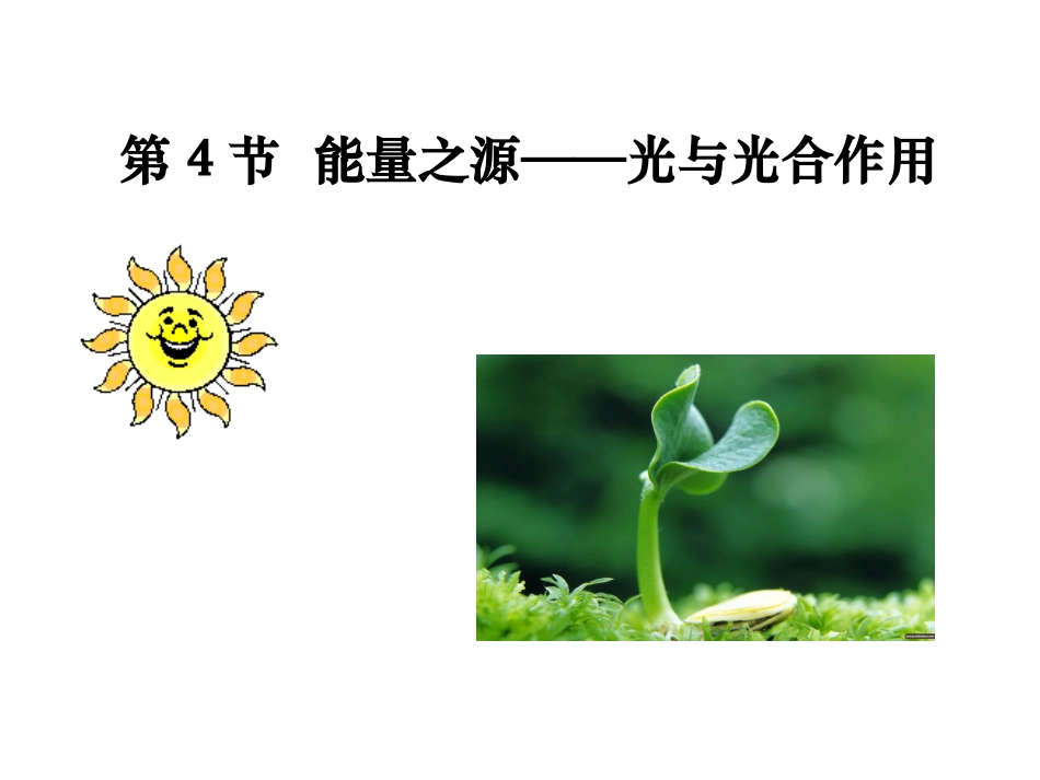 第四节 光合作用_第1页