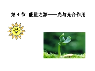 第四节 光合作用
