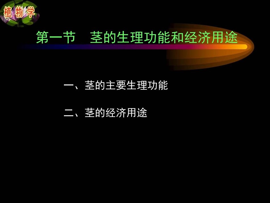 第四章第二节 茎_第2页