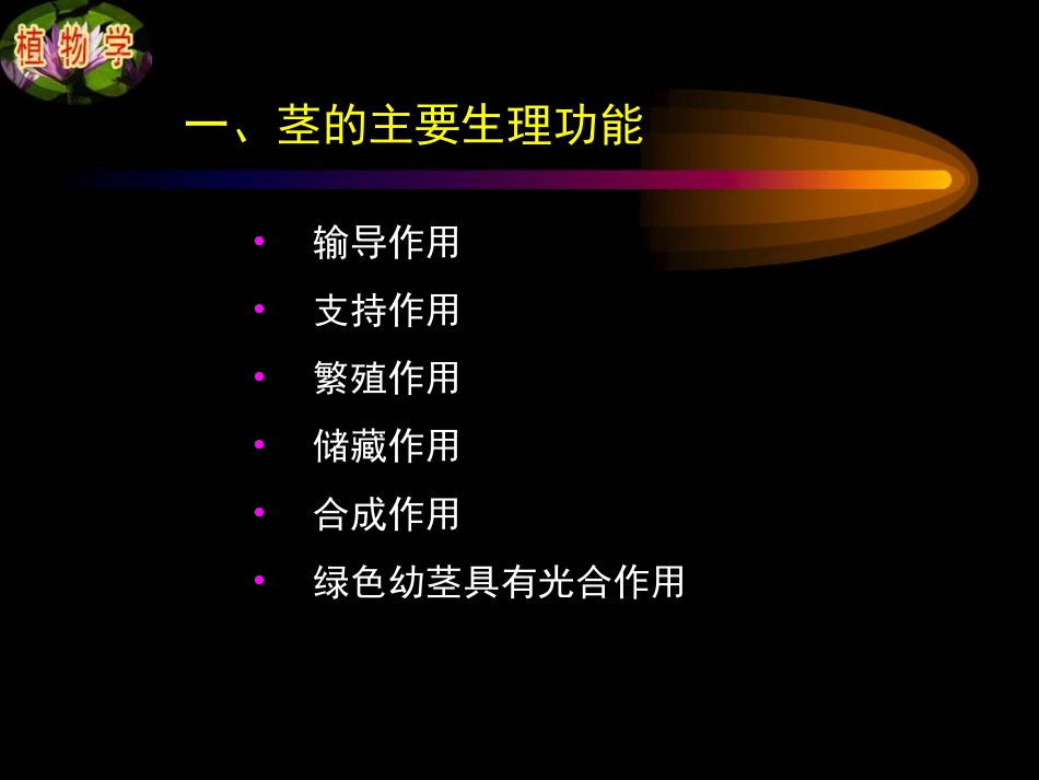 第四章第二节 茎_第3页