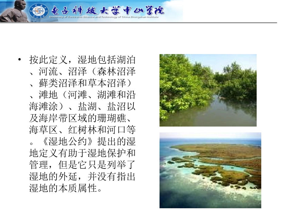 第四章 湿地旅游资源_第3页