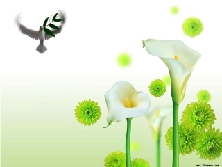 第四章 贸易术语