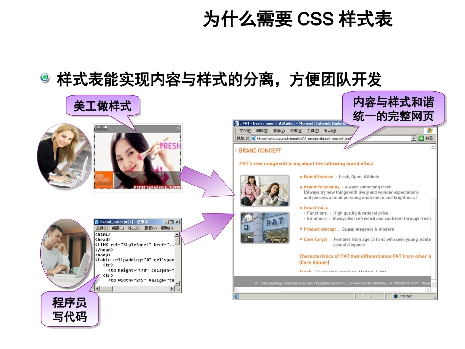 第四章 CSS样式表_第2页