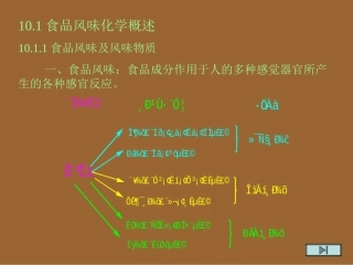 第十章食品风味化学第一节概述