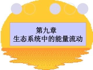 第十章 生态系统中的能量流动
