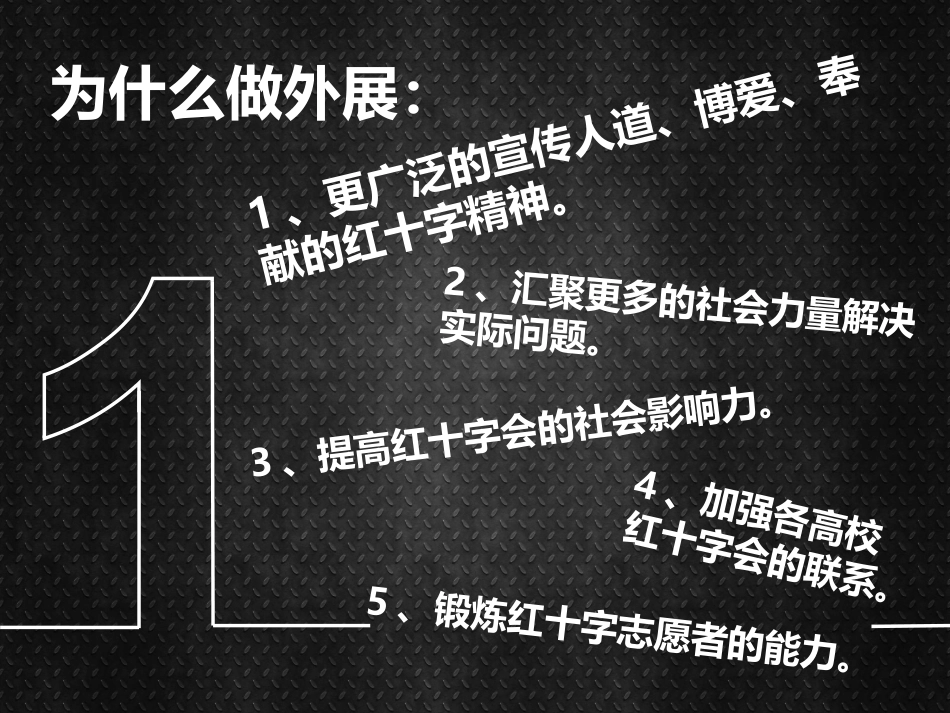 第十届首都高校红十字会高峰论坛：外展_第2页