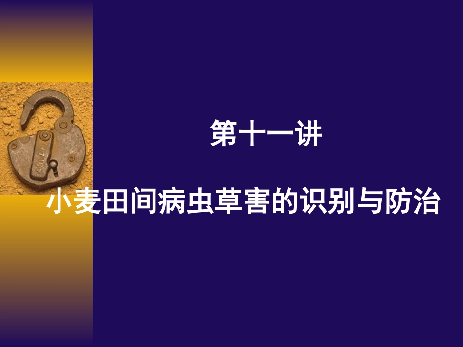 第十一讲 小麦田间病虫草害的识别与防治_第1页