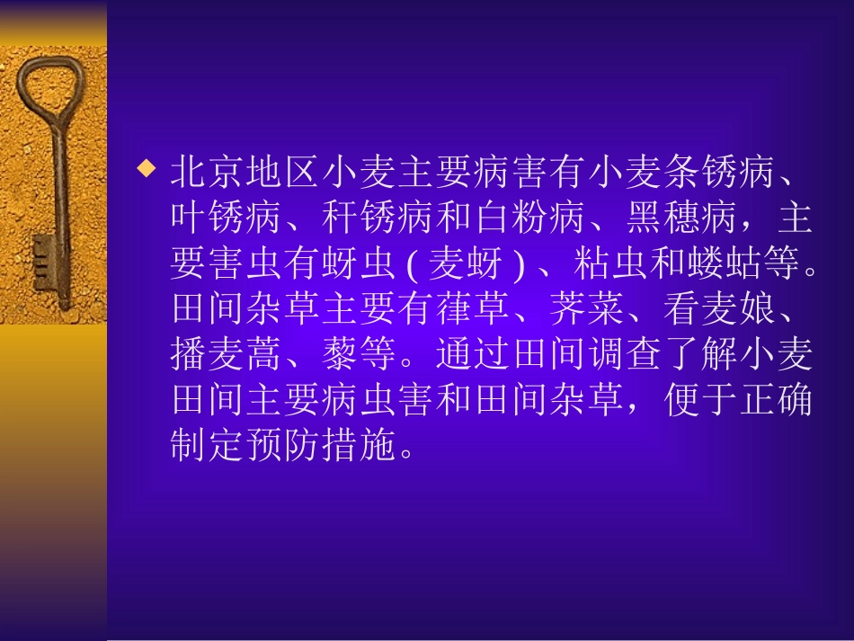 第十一讲 小麦田间病虫草害的识别与防治_第2页