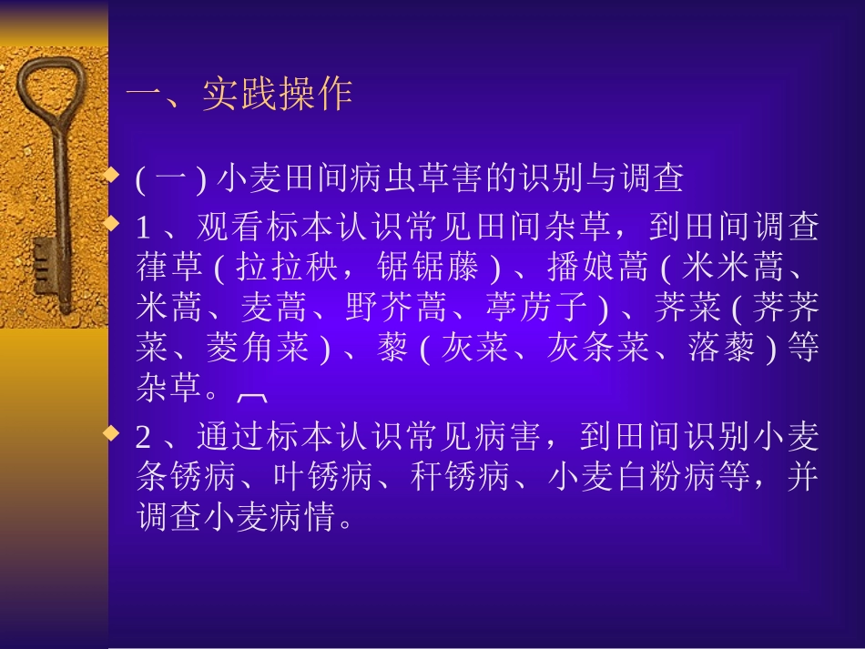 第十一讲 小麦田间病虫草害的识别与防治_第3页