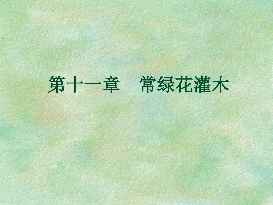 第十一章  常绿花灌木_第1页