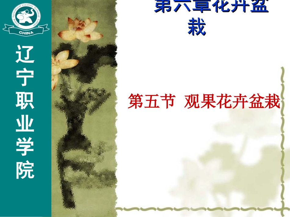 第六节第五章观果花卉盆栽_第1页