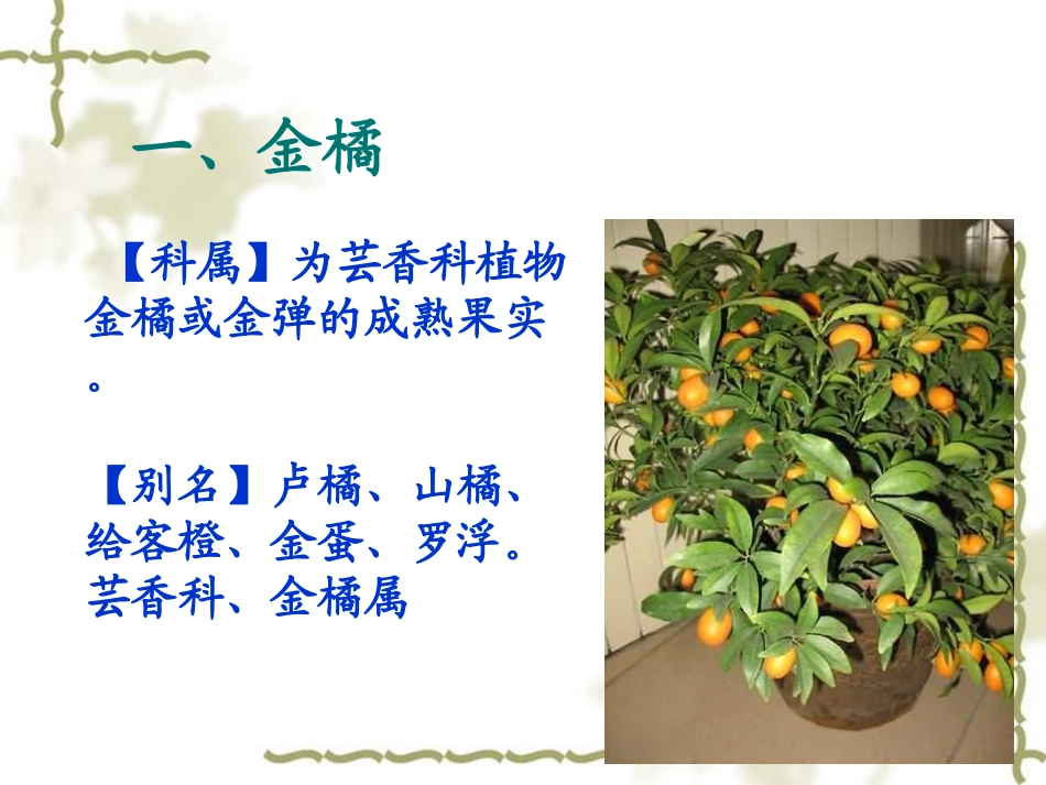 第六节第五章观果花卉盆栽_第2页