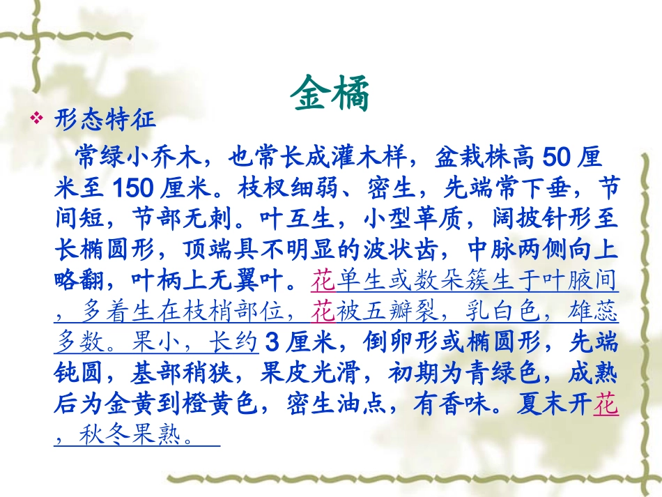 第六节第五章观果花卉盆栽_第3页