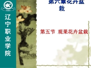 第六节第五章观果花卉盆栽