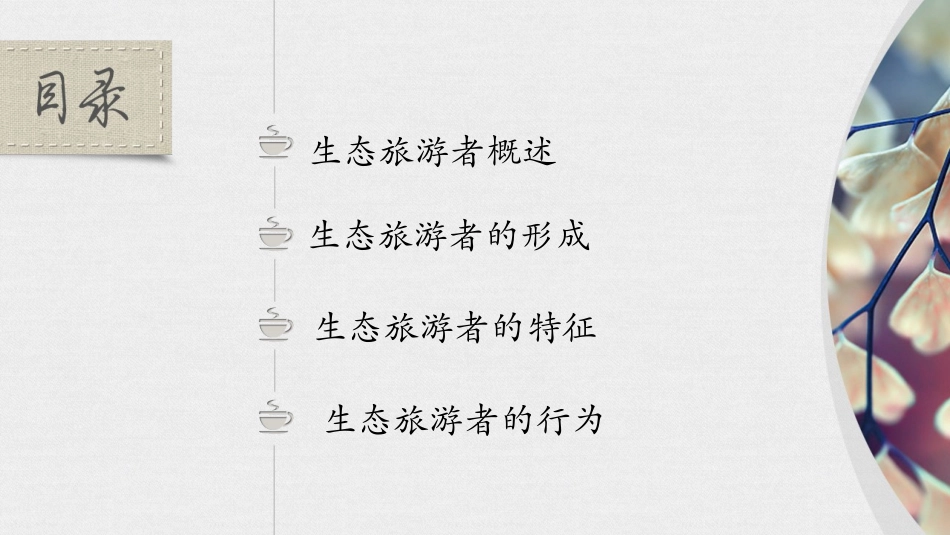 第六章 生态旅游者_第2页