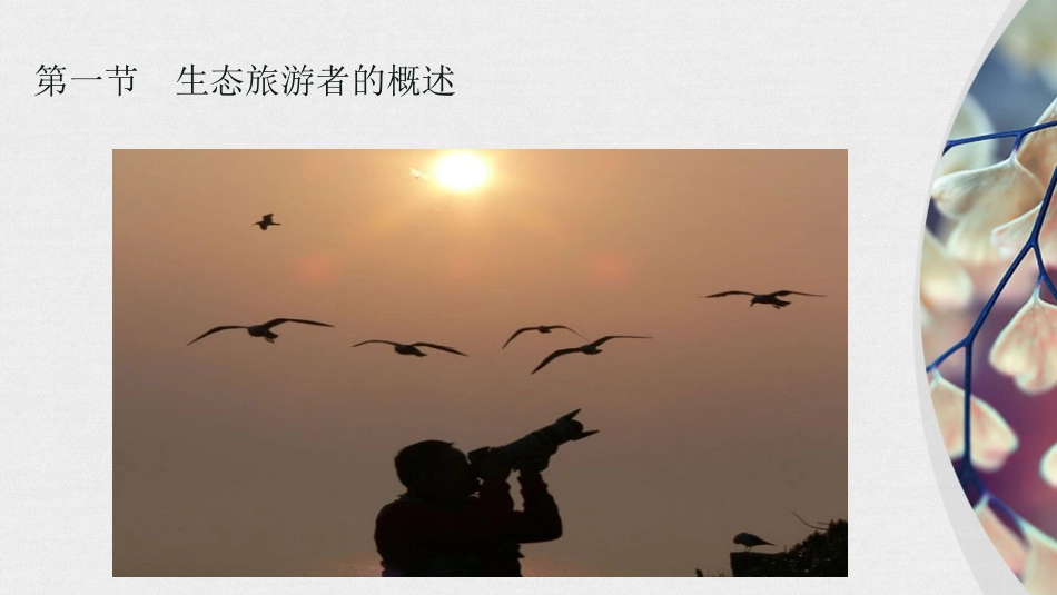 第六章 生态旅游者_第3页