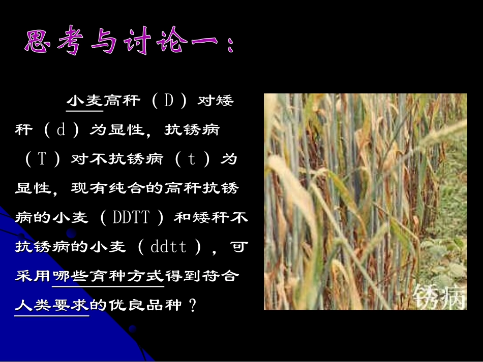 第六章 从杂交育种到基因工程 高二 必修 第二册 课件_第3页