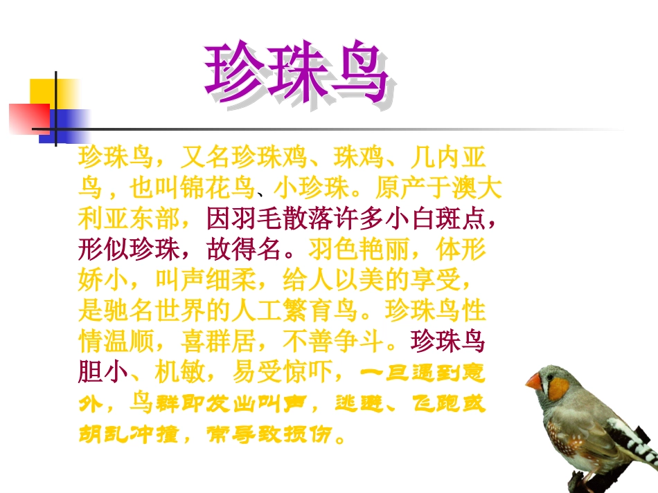 21、珍珠鸟_第3页