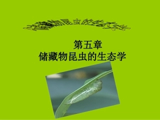 第五章储藏物昆虫的生态学