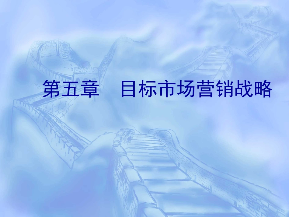 第五章 目标市场营销战略_第1页