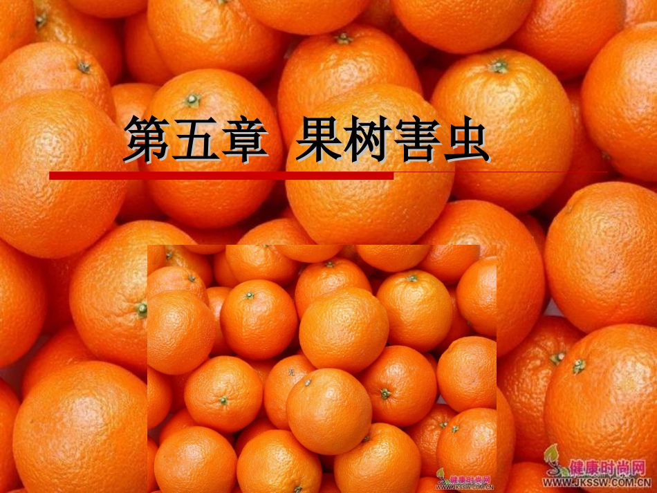 第五章 果树害虫_第1页