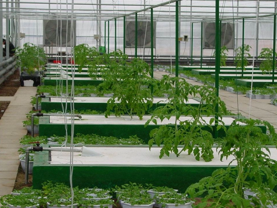 第五章  农业园区产品营销_第3页