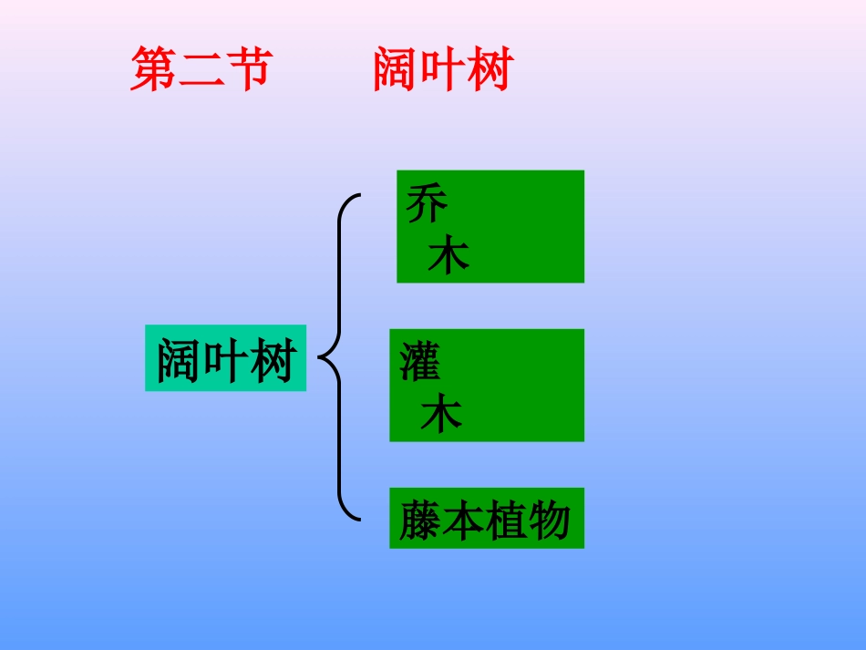 第二节    阔叶树_第1页