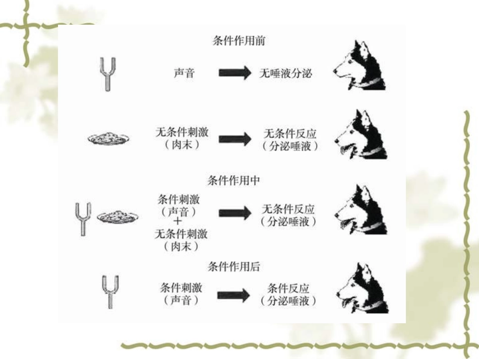 第二章_刺激----反应学习理论_第2页