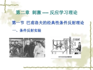 第二章_刺激----反应学习理论