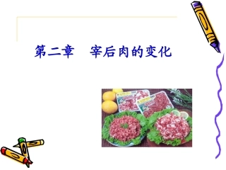 第二章(宰后肉的变化)
