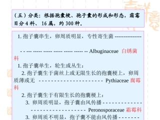 第二章 鞭毛菌亚门之二aj