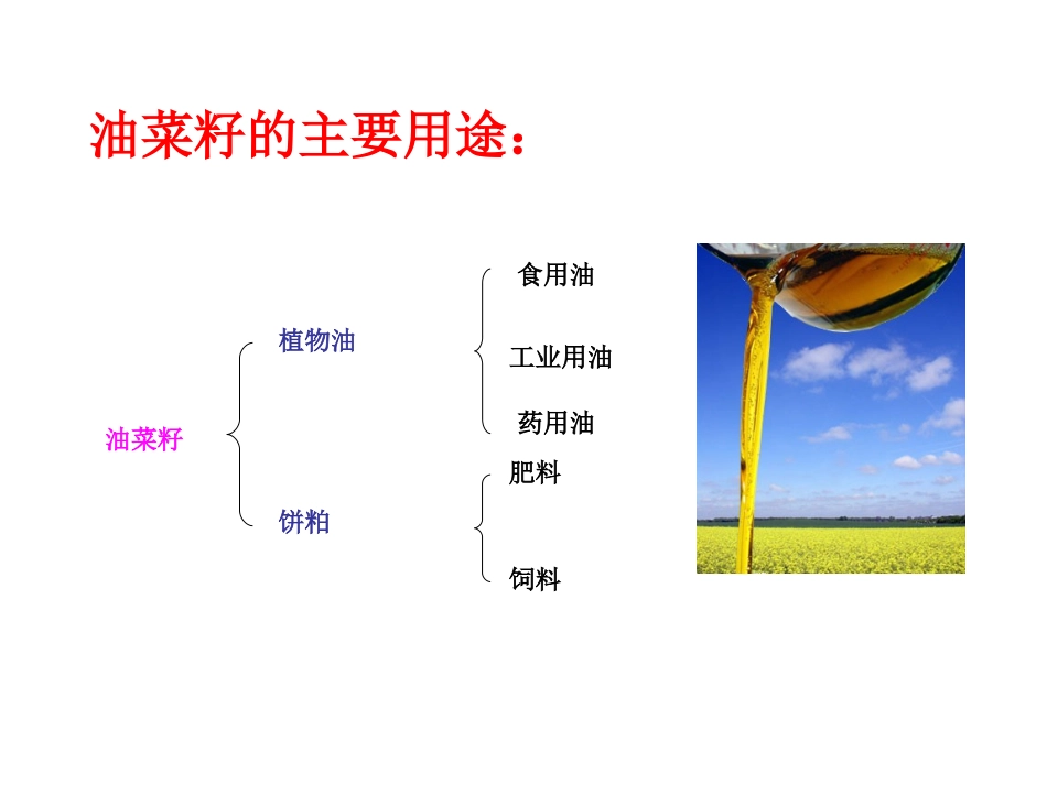 第二章 菜油品质改良_第2页