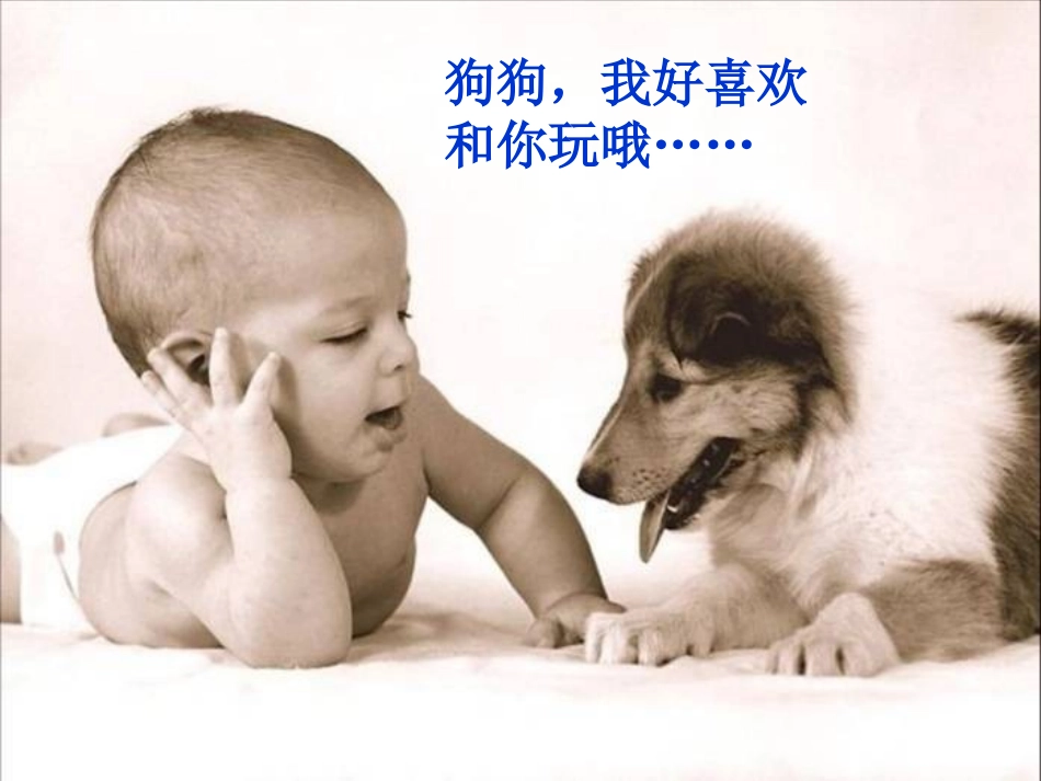 安恩和奶牛1_第2页