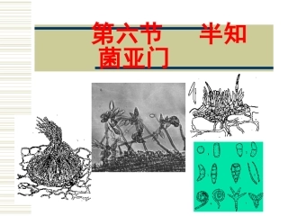 第二章 真菌(半知菌)(4)-1