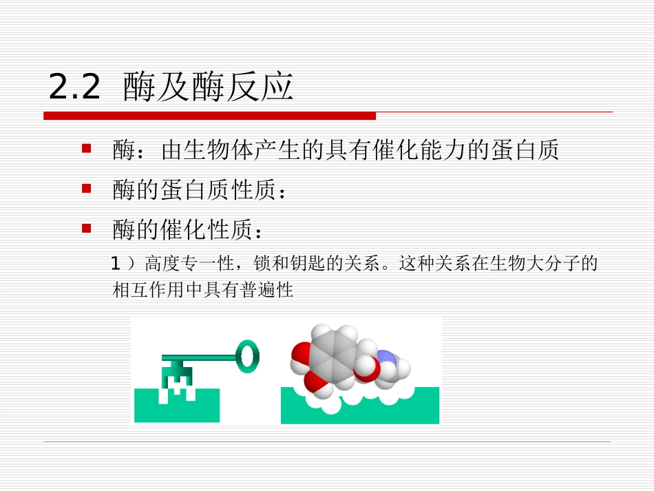第二章 分子识别元件及其反应基础_第2页