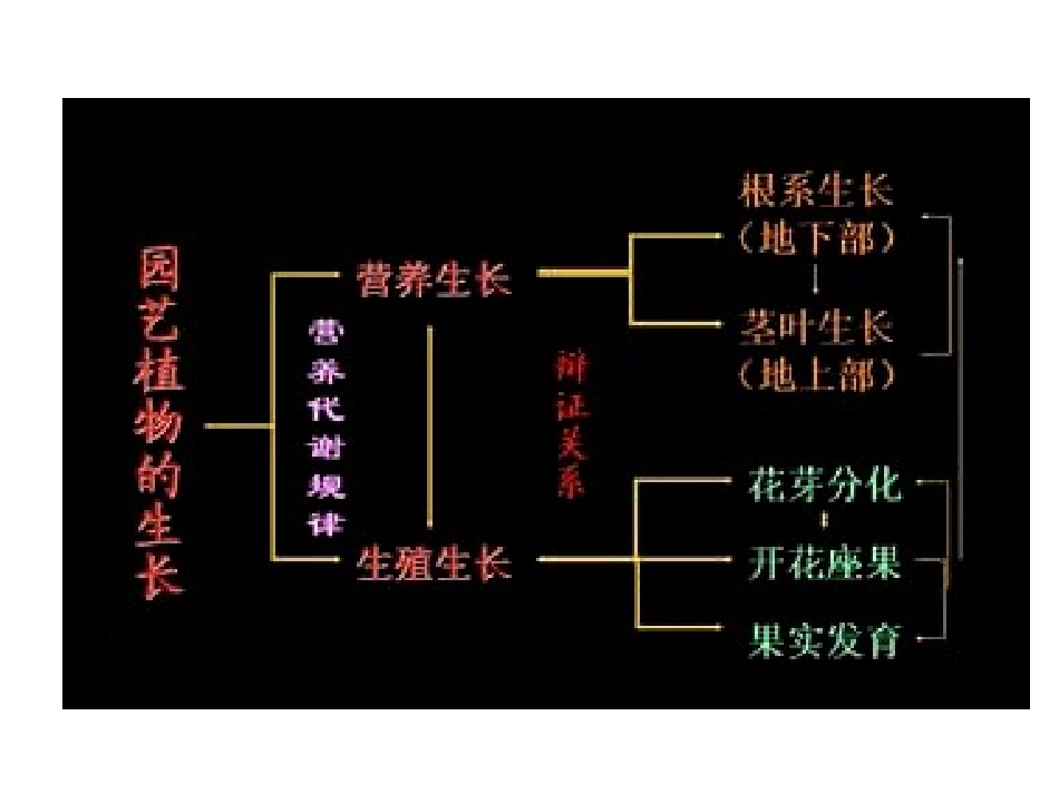 第二章 园艺植物生物学_第2页