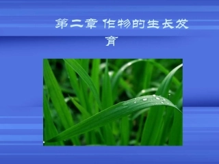 第二章 作物的生长发育
