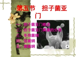 第二章  真菌(担子菌)(3)-1