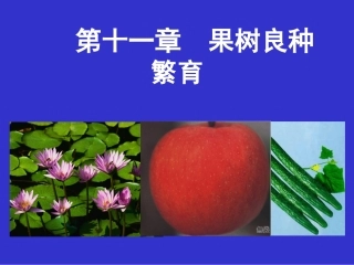 第九章 良种繁育