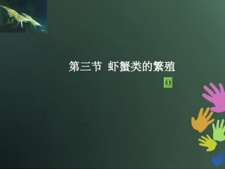 第三节 虾蟹类的繁殖