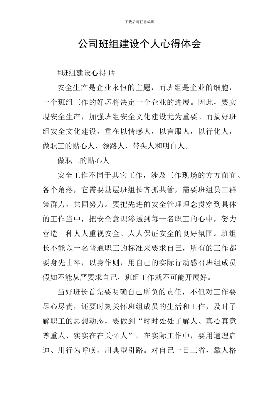 公司班组建设个人心得体会_第1页