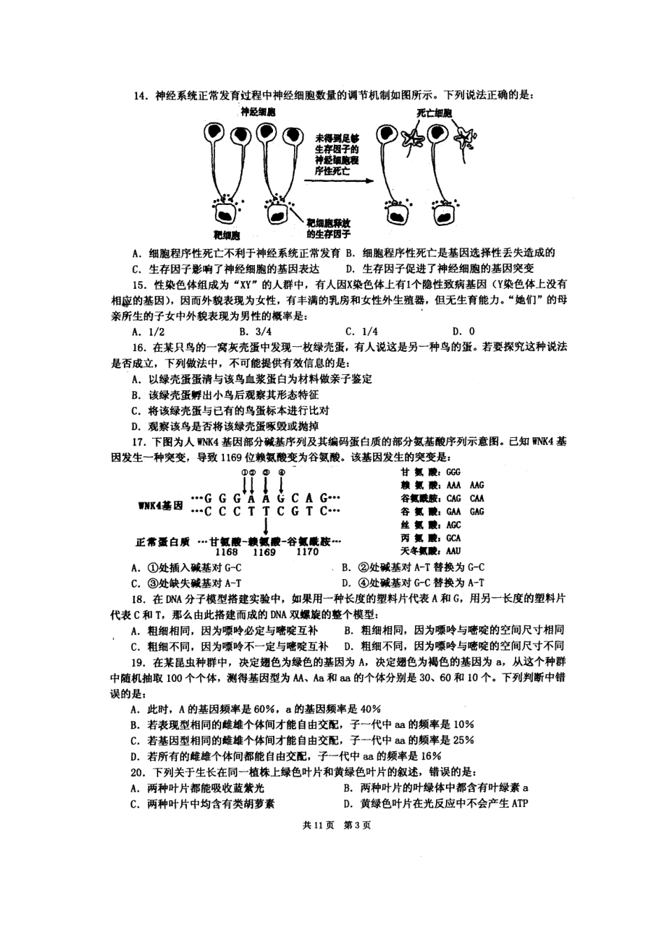 2015年全国中学生生物学竞赛(江西赛区)高中组预赛试题及答案_第3页