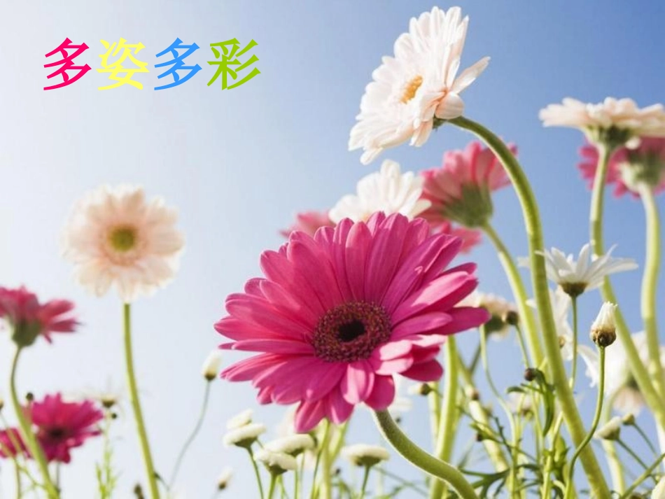 触摸春天课件._第3页