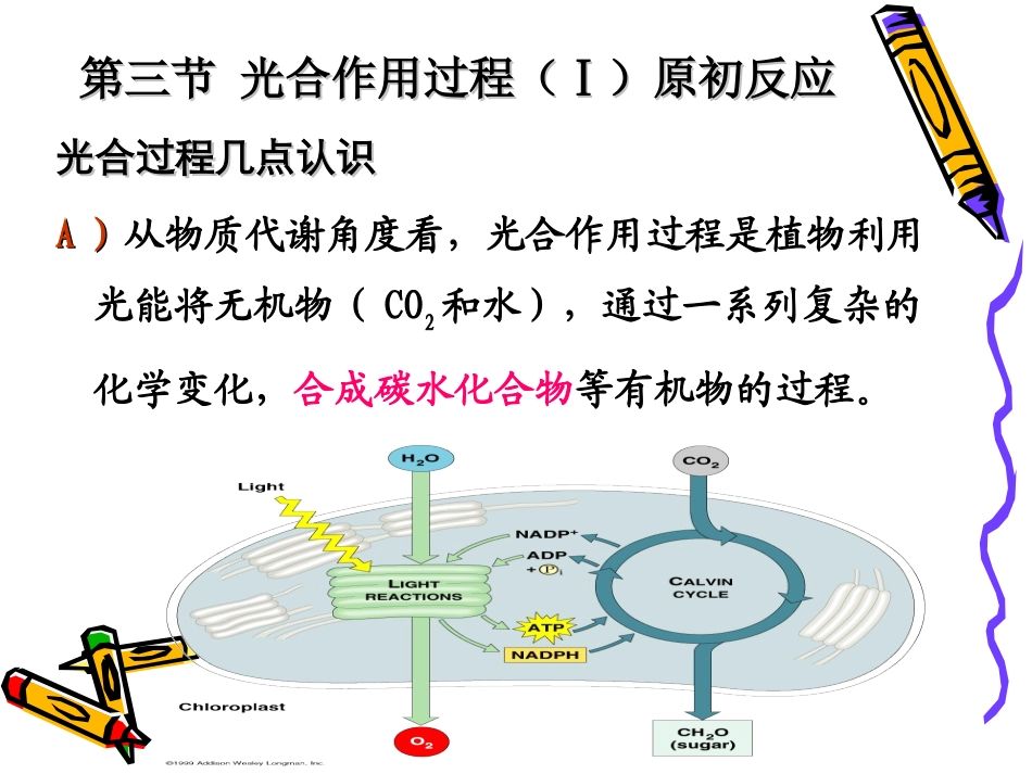 第三章光合作用2_第1页
