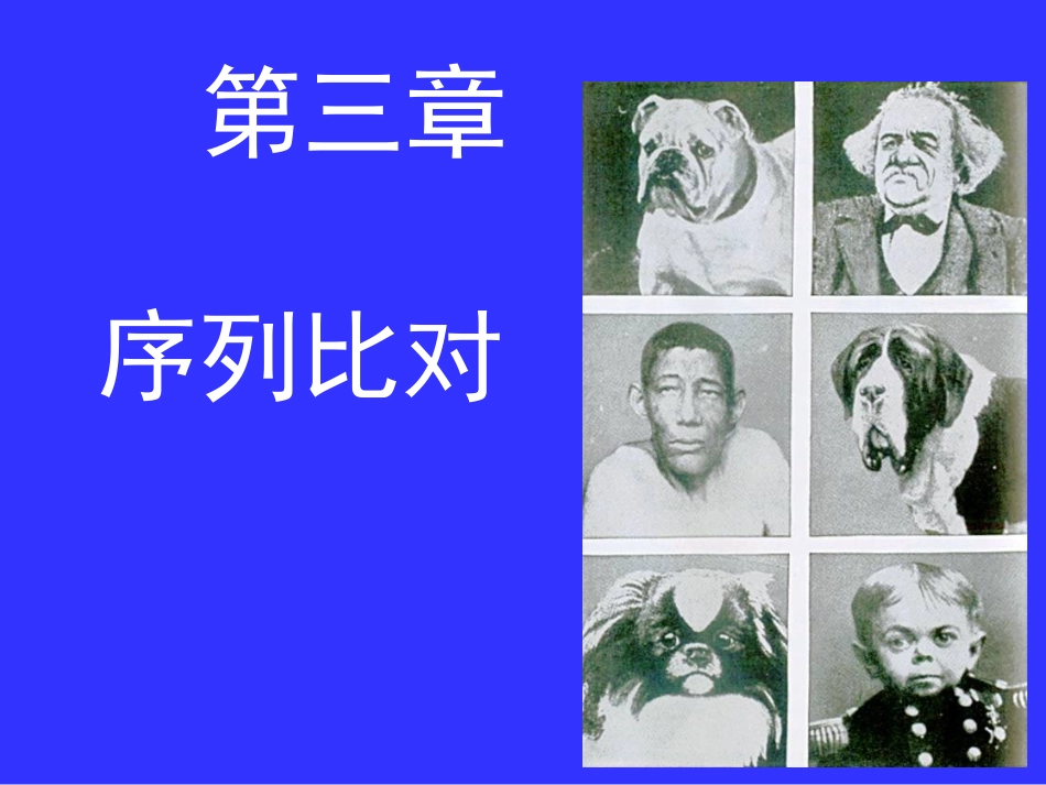 第三章_序列比对_第1页