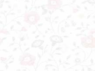 14梅兰芳学艺