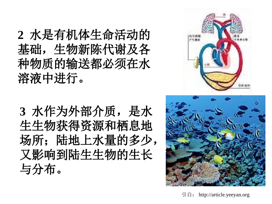 第三章 第1节 生物与水的关系_第2页
