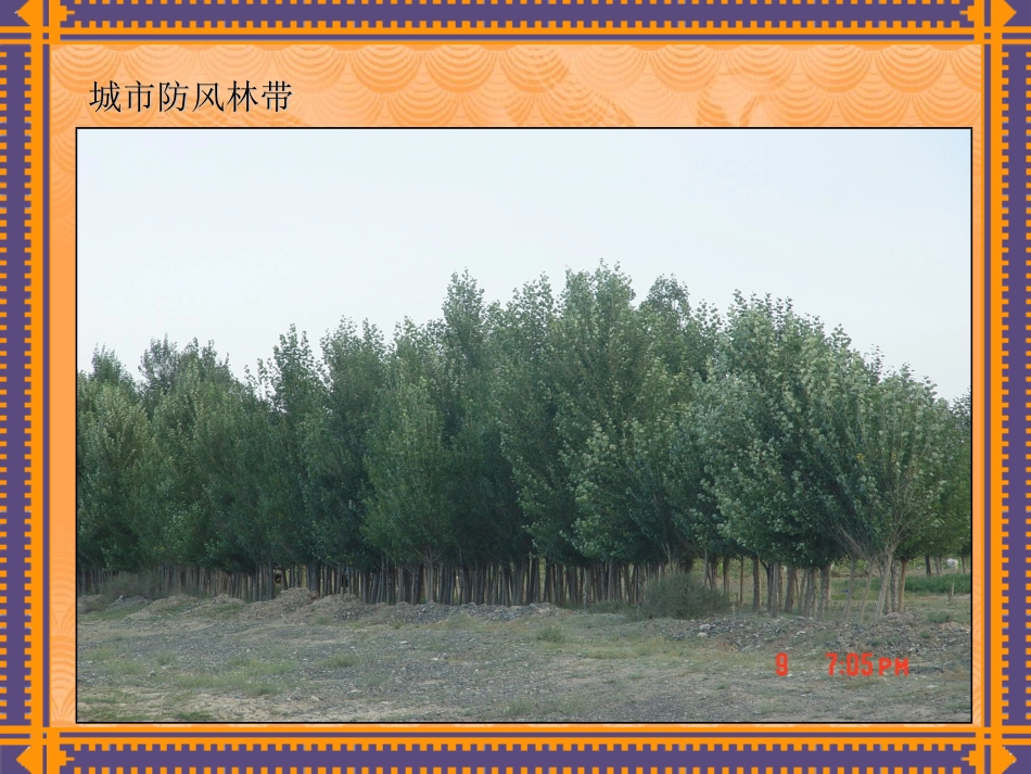 第七章防护绿地规划_第2页