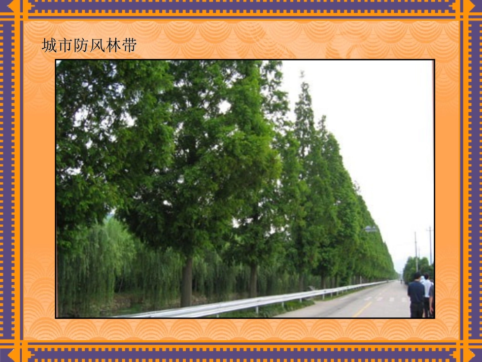 第七章防护绿地规划_第3页